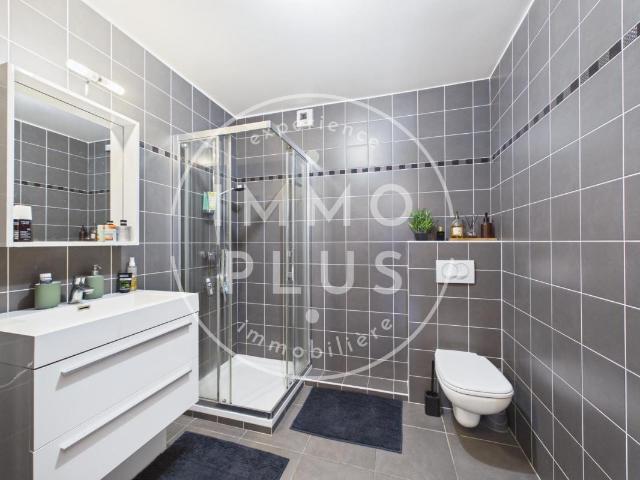 Appartement vente à Annecy