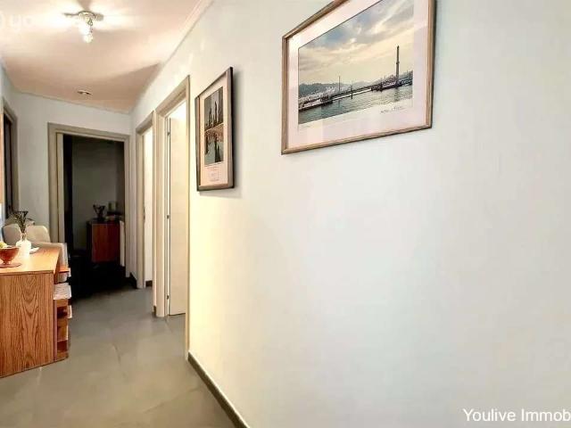 Appartement vente à Corte, San-nicolao