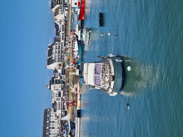 Appartement vente à Lorient, Bretagne