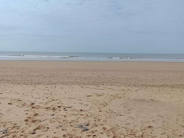 Appartement vente à Les Sables-d'Olonne, Saint-hilaire-de-riez