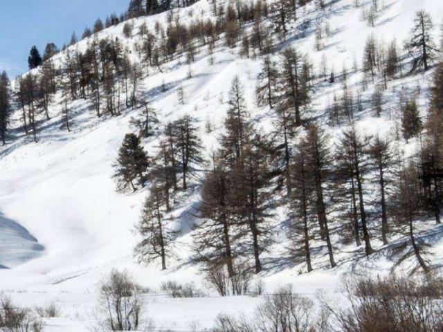 Appartement vente à Briançon, Vars
