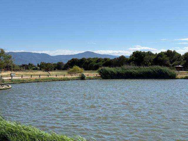 Appartement vente à Céret, Saint-cyprien