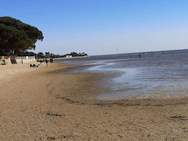 Appartement vente à Arcachon, Lanton