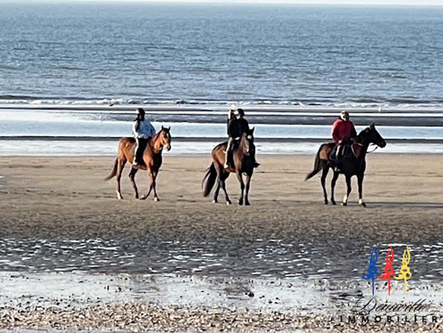 Appartement vente à Lisieux, Blonville-sur-mer