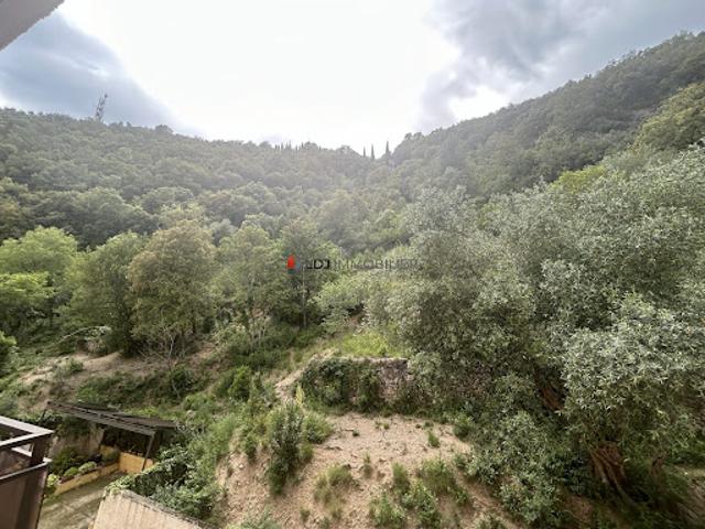 Appartement vente à Céret, Amélie-les-bains-palalda