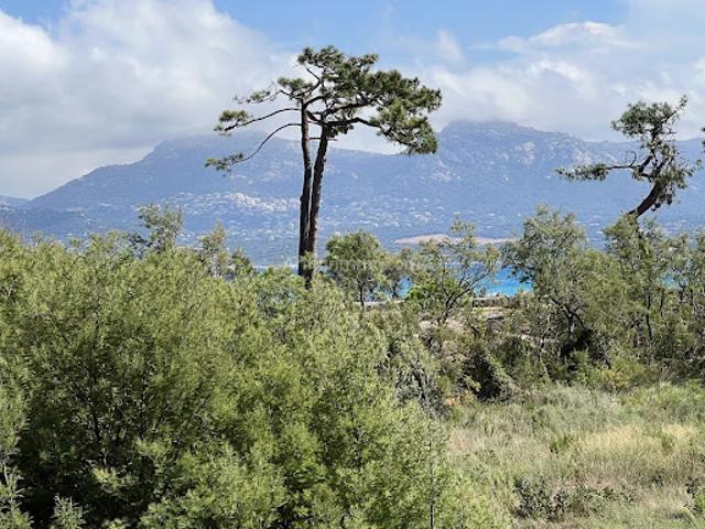 Appartement vente à Calvi