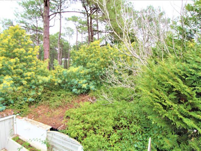 Appartement vente à Arcachon, Lège-cap-ferret