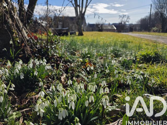 Appartement vente à Lure, Bourgogne-Franche-Comté