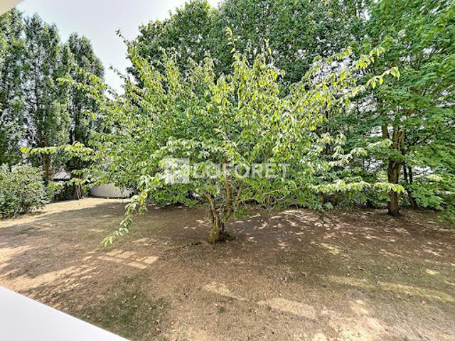 Appartement vente à Saint-Germain-en-Laye, Montesson