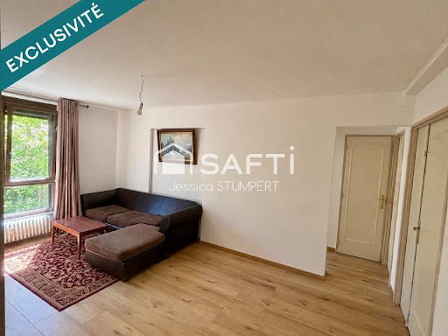 Appartement vente à Sarreguemines