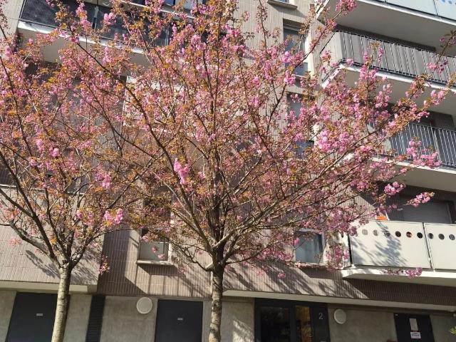 Appartement vente à L'Haÿ-les-Roses, Ivry-sur-seine