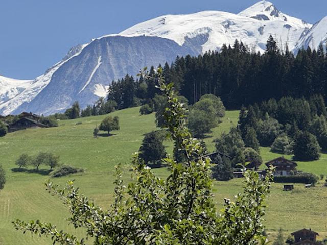 Appartement vente à Prairy, Combloux
