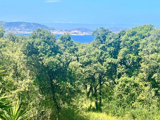 Appartement vente à Calvi, Lumio