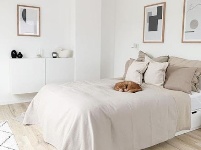 Appartement vente à Strasbourg, Hoenheim