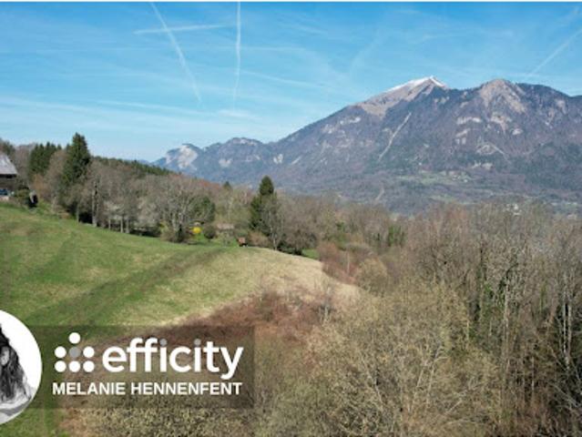 Appartement vente à Bonneville, Mont-saxonnex