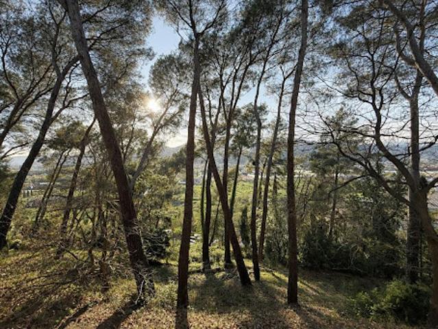Appartement vente à Grasse, Cannes