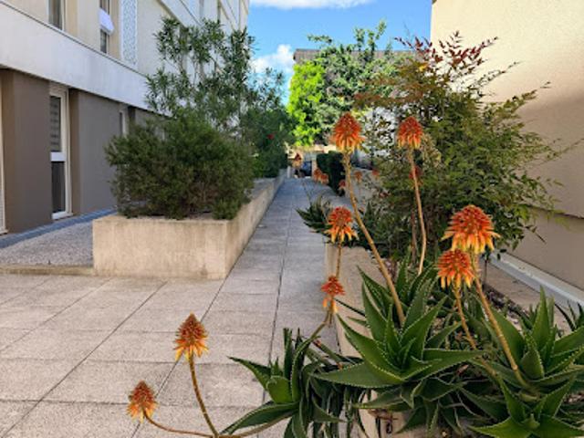 Appartement vente à Montpellier