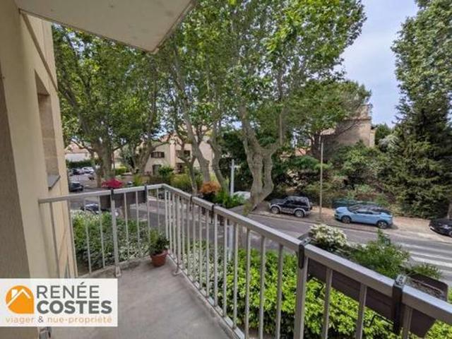 Appartement vente à Arles