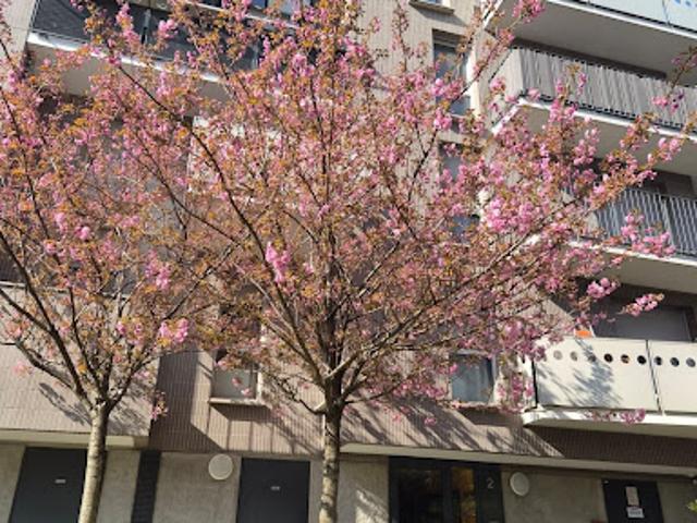 Appartement vente à L'Haÿ-les-Roses, Ivry-sur-seine