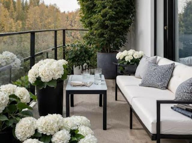 Appartement vente à La Chaussee, La Chevrolière