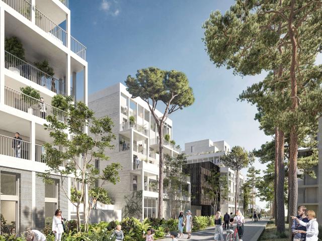 Appartement vente à Bordeaux