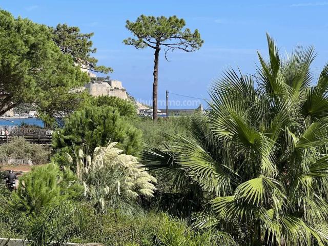 Appartement vente à Calvi