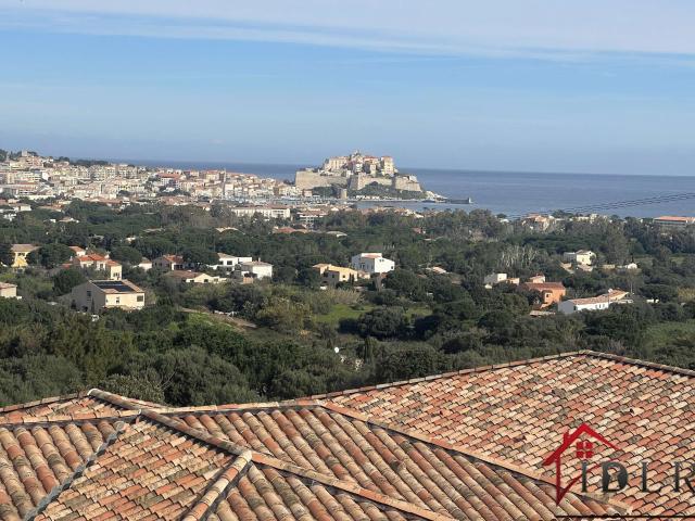 Appartement vente à Calvi