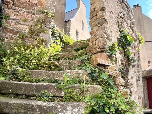 Appartement vente à Vannes, Bretagne