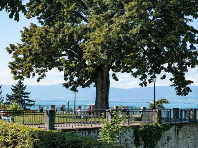 Appartement vente à Thonon-les-Bains, Thonon-les-bains