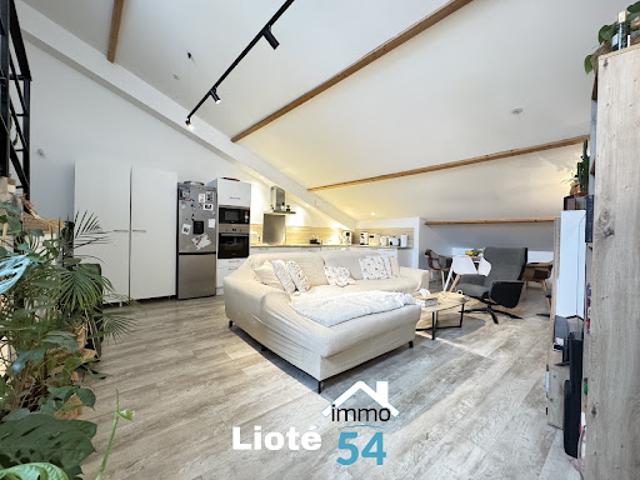 Appartement vente à Lunéville, Bayon