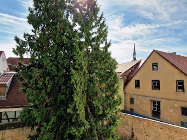 Appartement vente à Colmar-Ribeauvillé, Colmar