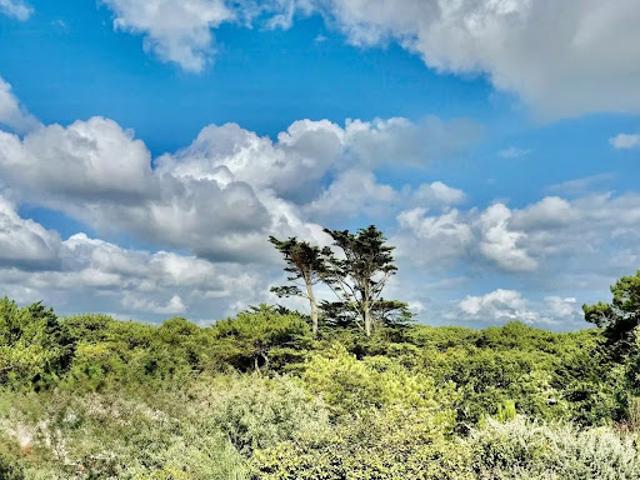 Appartement vente à Dax, Soorts-hossegor