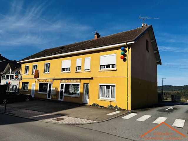 Appartement vente à Saint-Dié-des-Vosges, Bruyères