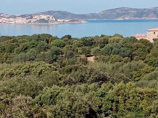 Appartement vente à Calvi, Lumio