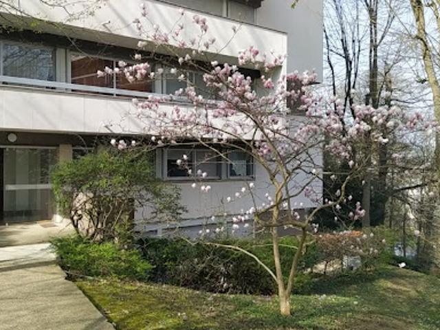 Appartement vente à Les Capucins, Meudon