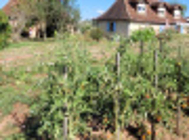 Appartement vente à Segonzac, Corrèze