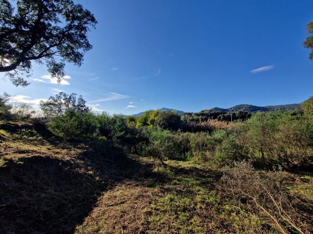 Appartement vente à Ajaccio