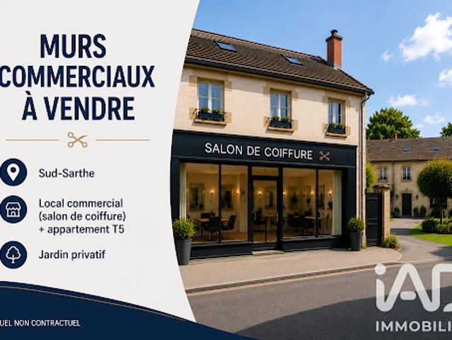 Local Commercial vente à La Flèche, Le Lude