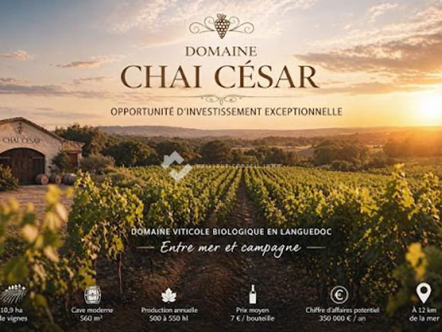 Local Commercial vente à Béziers, Nissan-lez-enserune