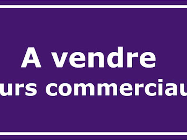Local Commercial vente à Briançon, Saint-chaffrey