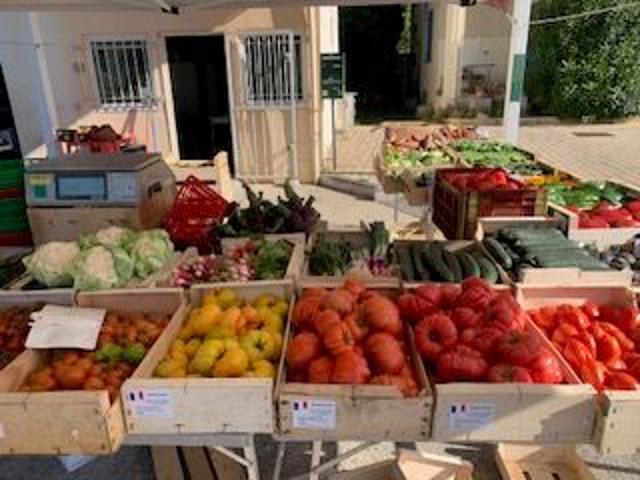 Local Commercial vente à Nyons, Valaurie