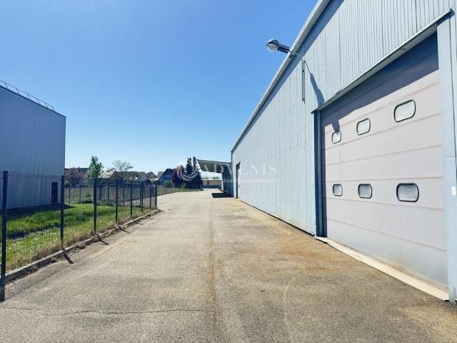 Local Commercial vente à Molsheim, Duppigheim