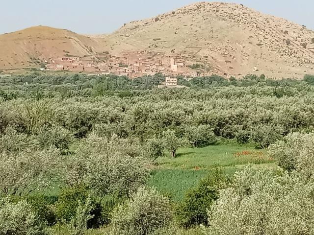 Villa vente à Marrakech, L'Oriental