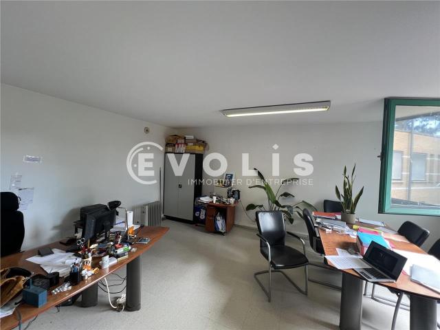 Bureau vente à Torcy, Champs-sur-marne