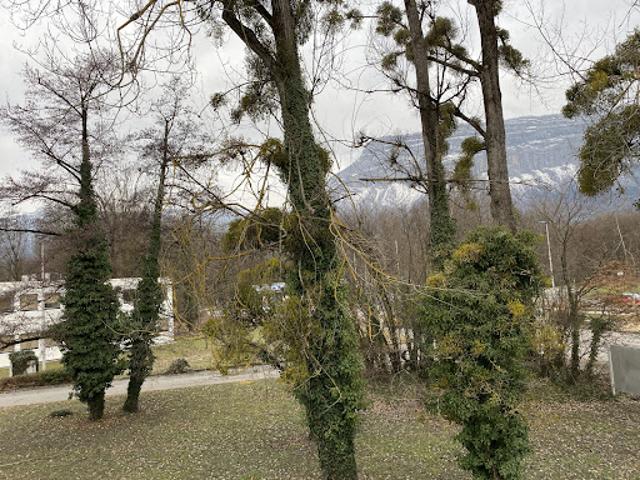 Bureau vente à Grenoble, Meylan