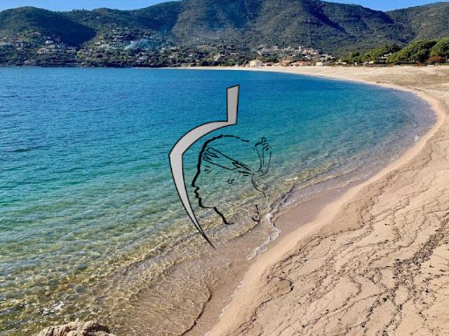 Bureau vente à Ajaccio, Coggia