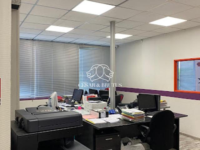 Bureau vente à Lyon, Métropole de Lyon