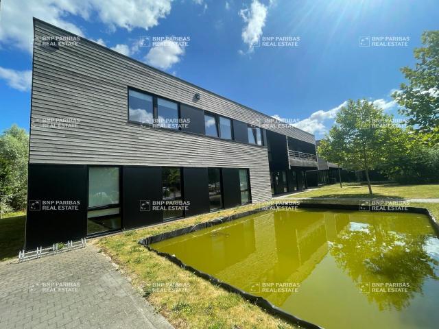 Bureau vente à Lille, Loos