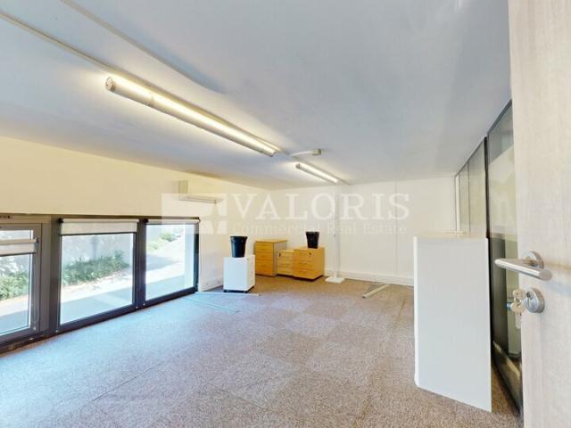 Bureau vente à Lyon, Métropole de Lyon