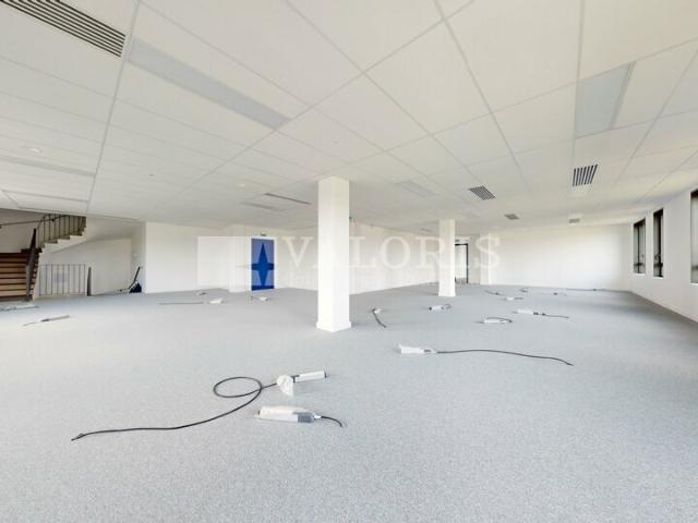 Bureau vente à Lyon, Métropole de Lyon